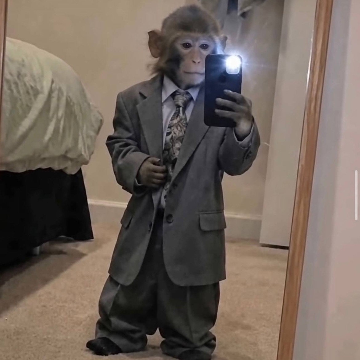 A young macaque in an oversized grey suit and patterned tie, taking a mirror selfie with the phone flash on, the trousers pooling over its feet.